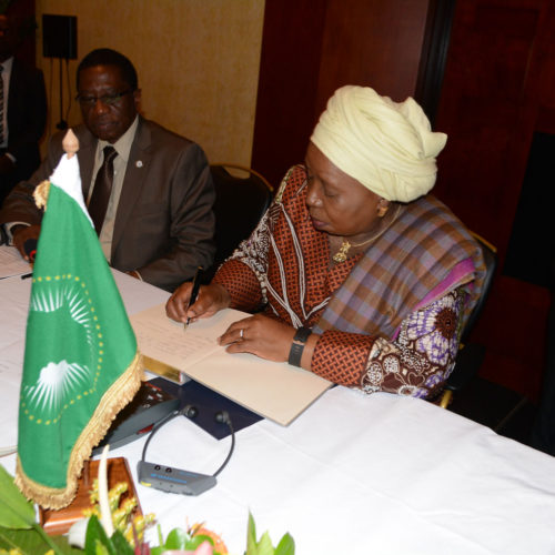 Jafec-avec-la-Présidente-de-l'Union-Africaine,-Nkosazana-Dlamini-Zuma23